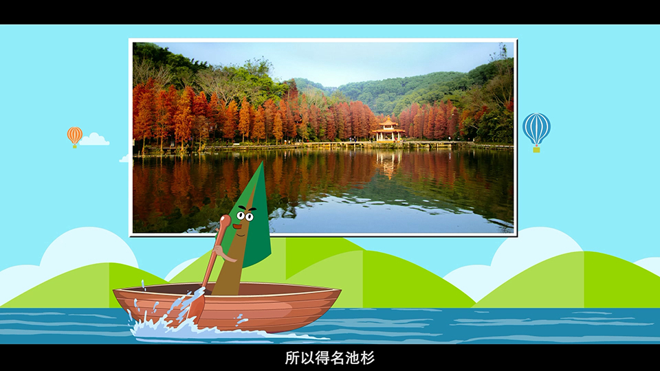 上海市環境學校 池杉