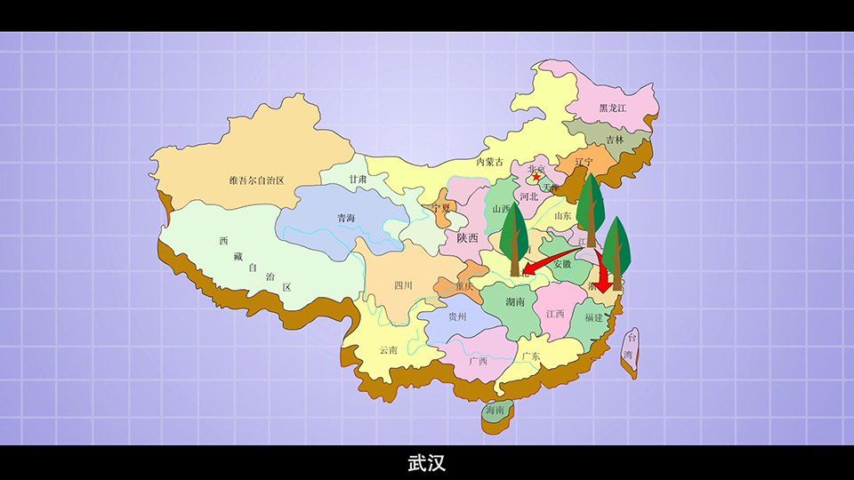 上海市環境學校 池杉