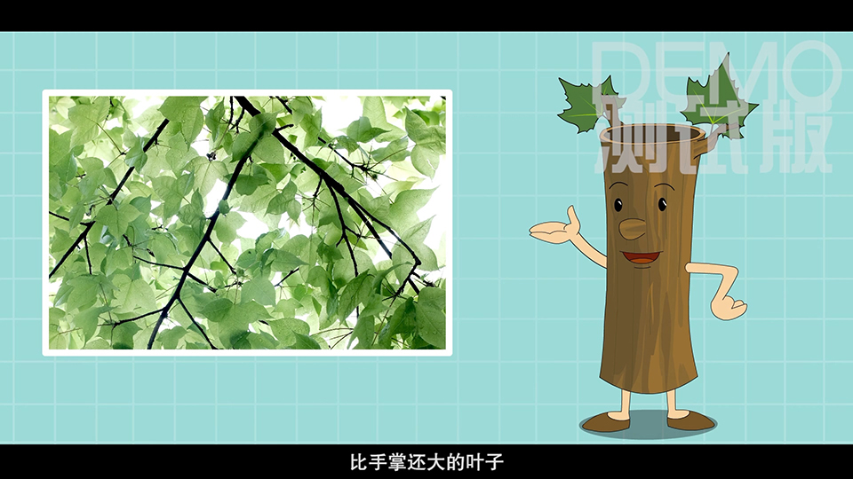 上海市環境學校 梧桐